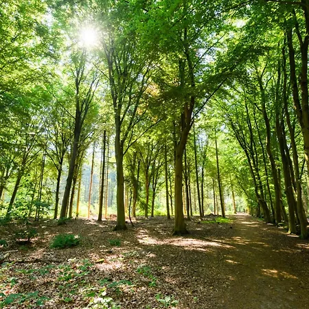 Garden View Center Hendrik Apartmán Tilburg