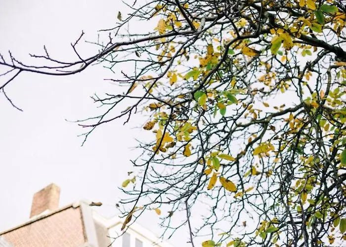 Garden View Center Hendrik *