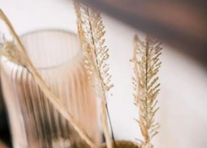 Apartmán Garden View Center Hendrik