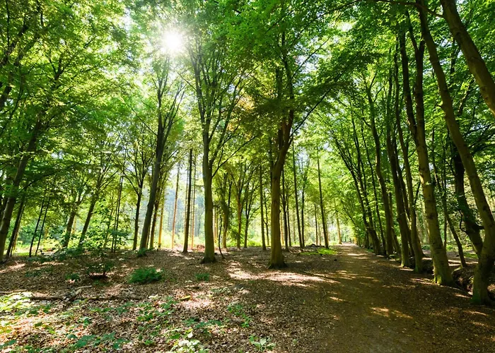 Garden View Center Hendrik Apartmán Tilburg